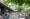 An outdoor scene of a restaurant with people sat at tables surrounded by trees